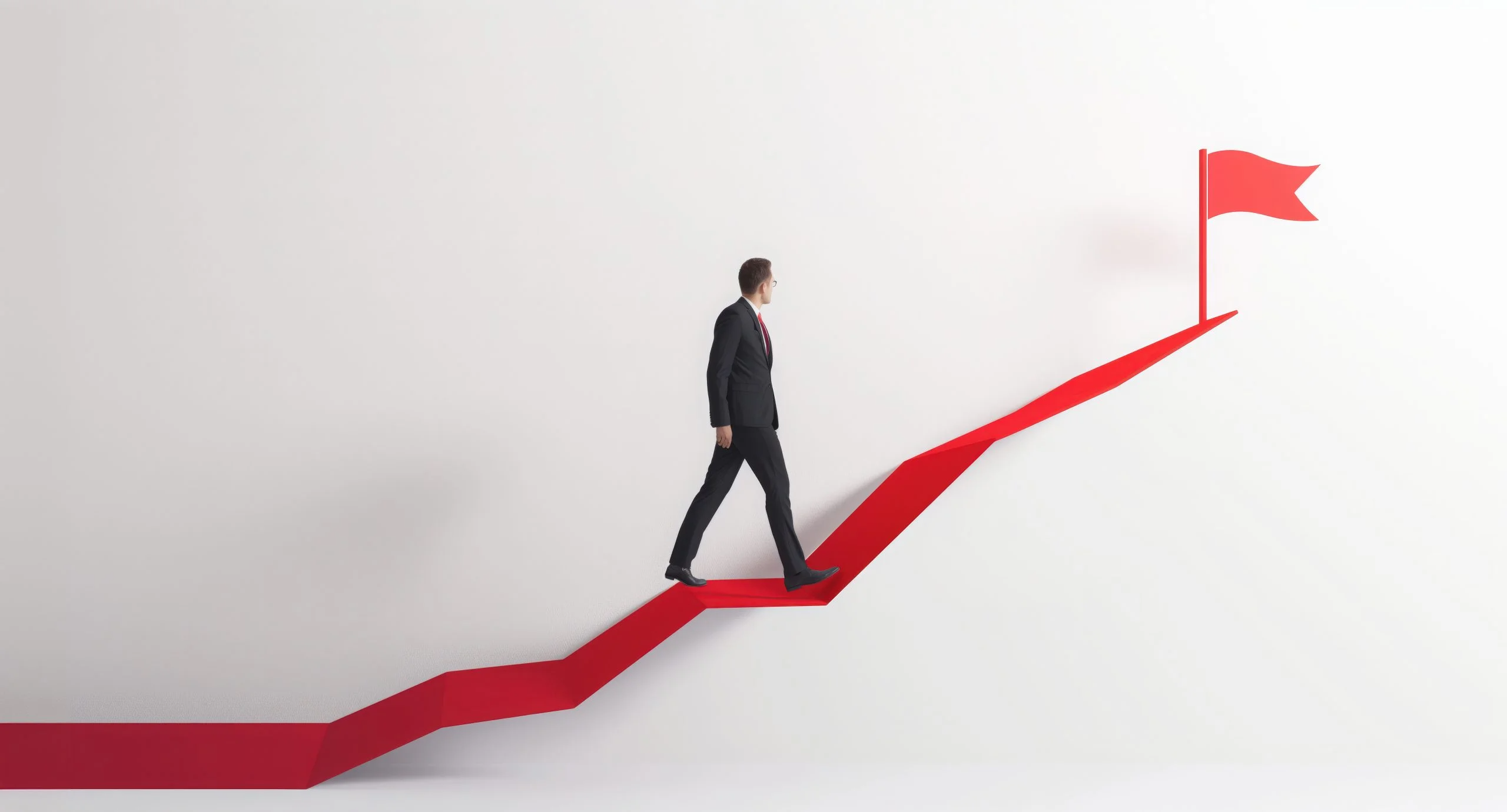 Programın Nihai Amaçları